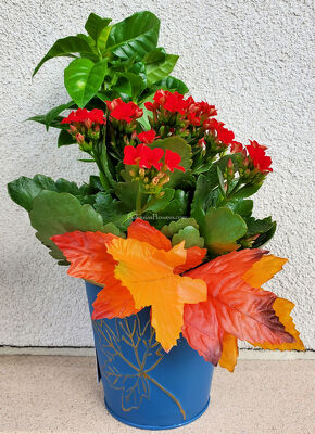 Fall Indoor Planters from Bakanas Florist & Gifts, flower shop in Marlton, NJ